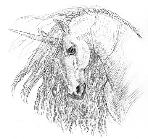 Unicorn (Sketch)